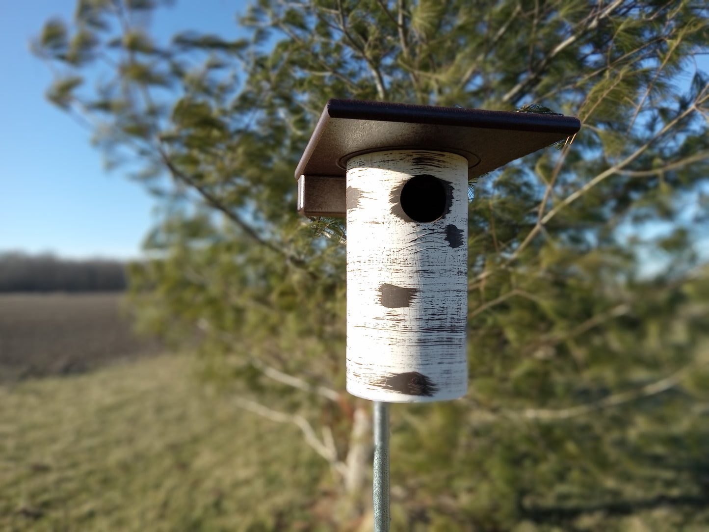 Hand-Tooled Gilbertson Bird Nest House