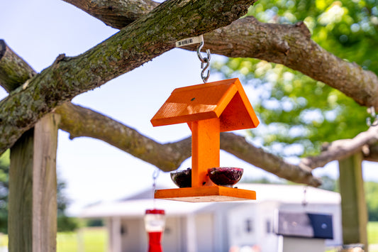 Oriole Feeder Poly