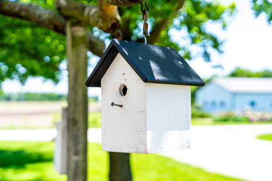 Poly Wren House