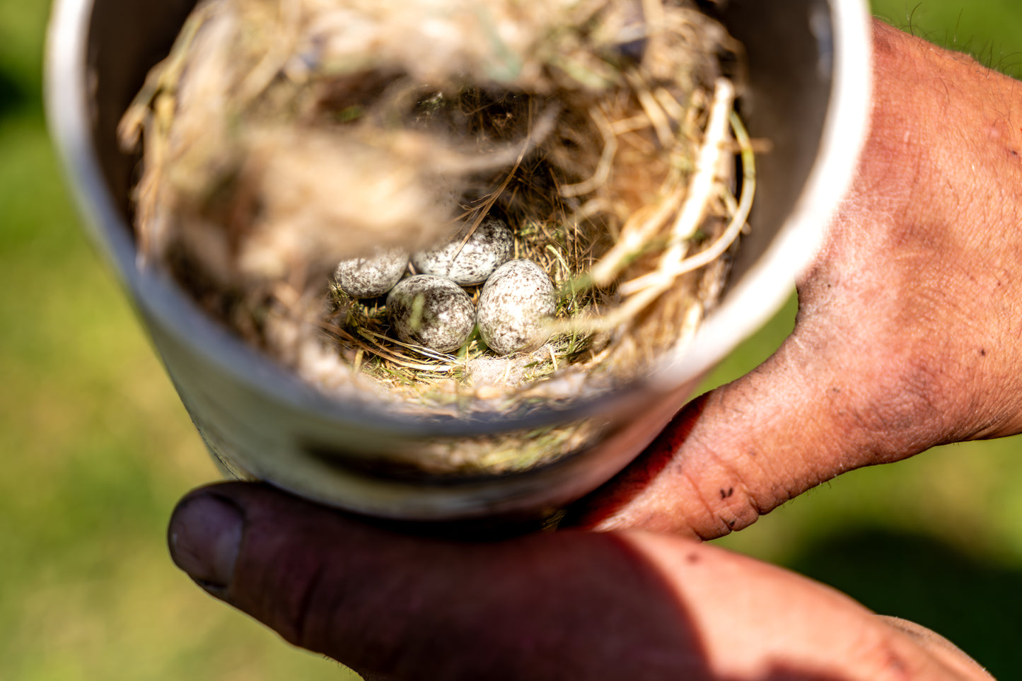 Hand-Tooled Gilbertson Bird Nest House