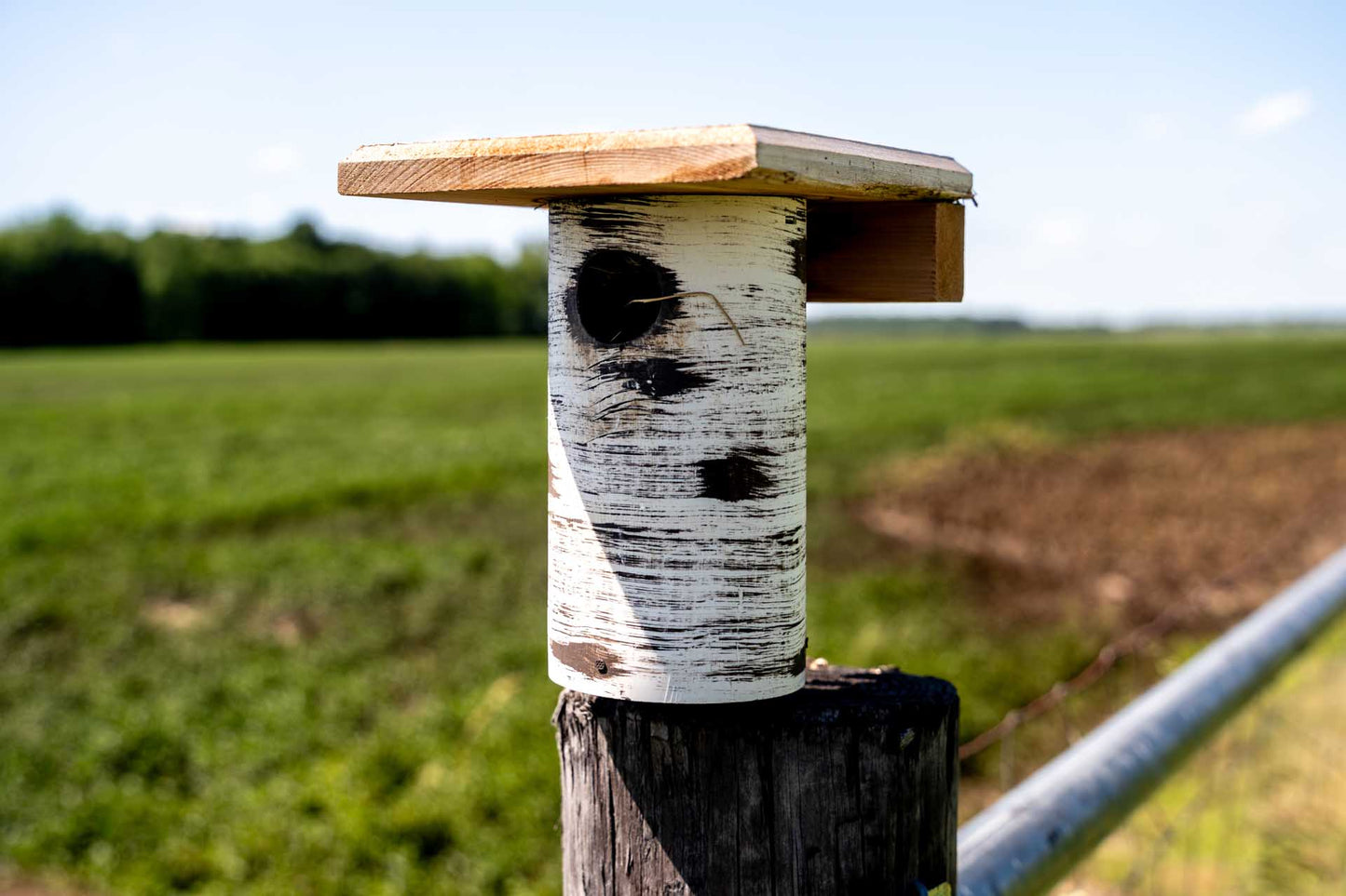 Hand-Tooled Gilbertson Bird Nest House