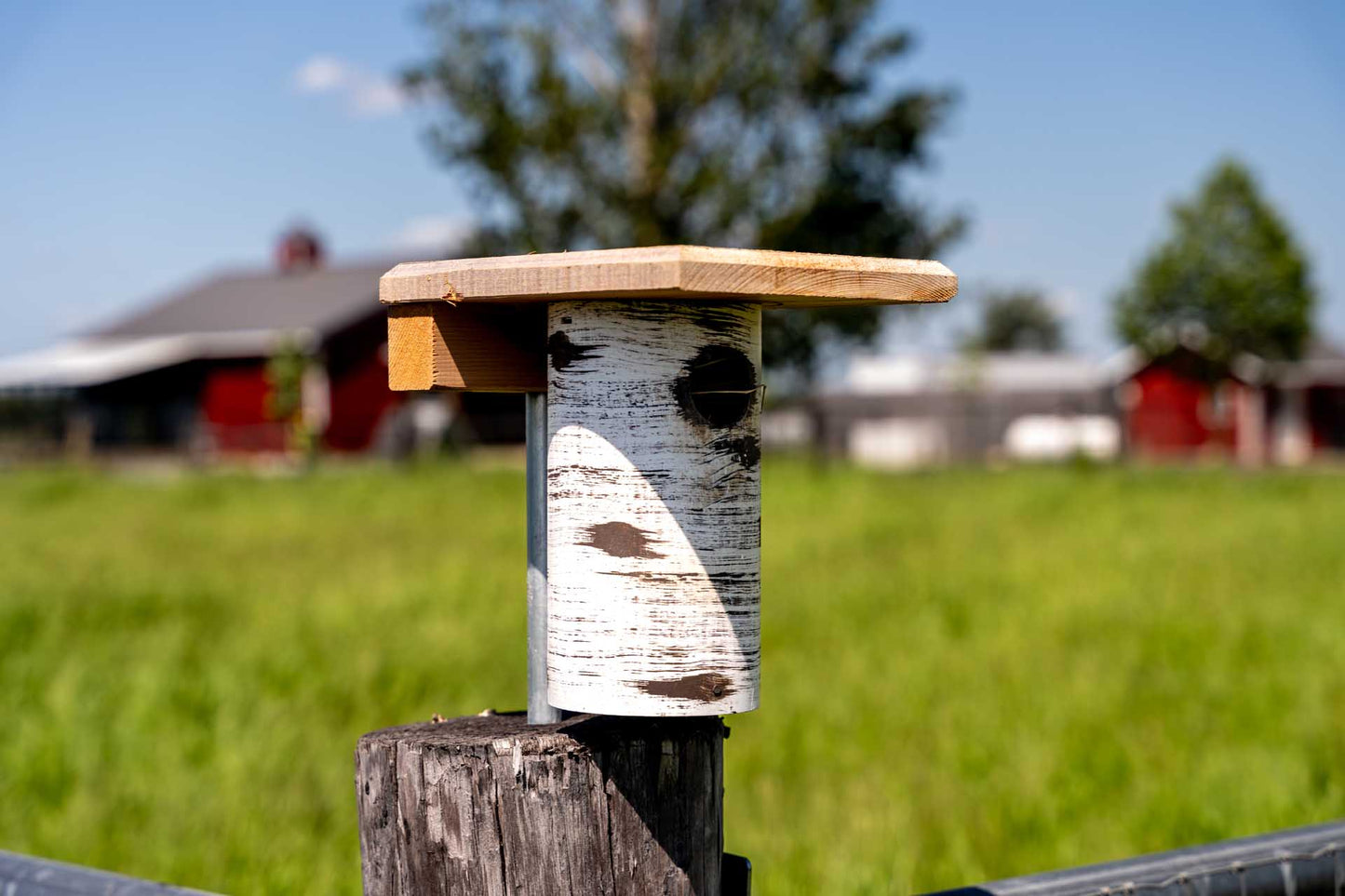 Hand-Tooled Gilbertson Bird Nest House