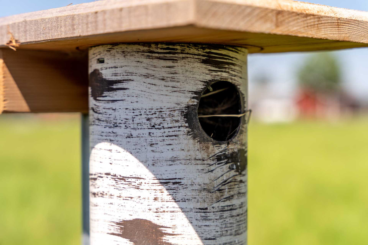 Hand-Tooled Gilbertson Bird Nest House