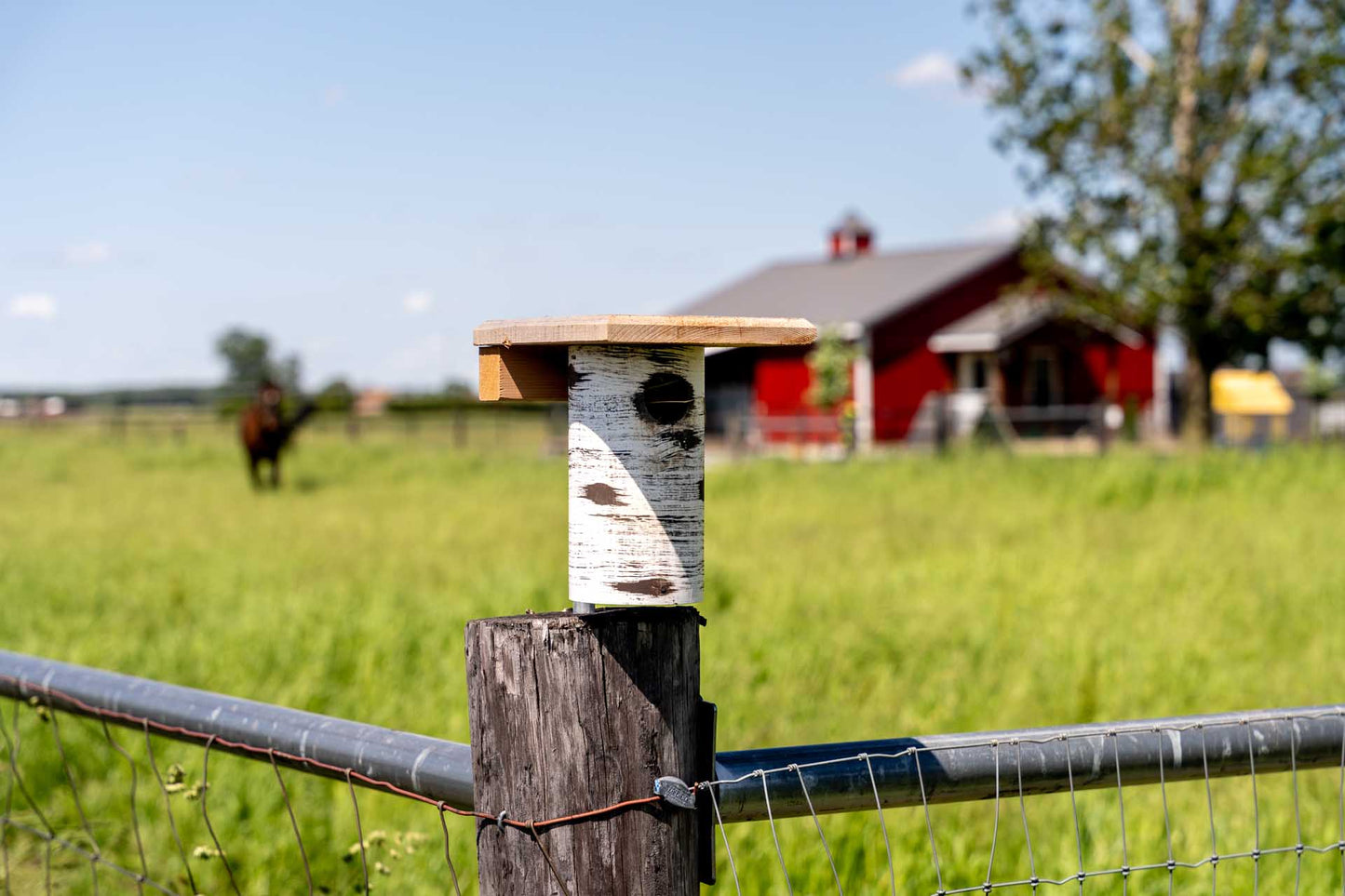 Hand-Tooled Gilbertson Bird Nest House