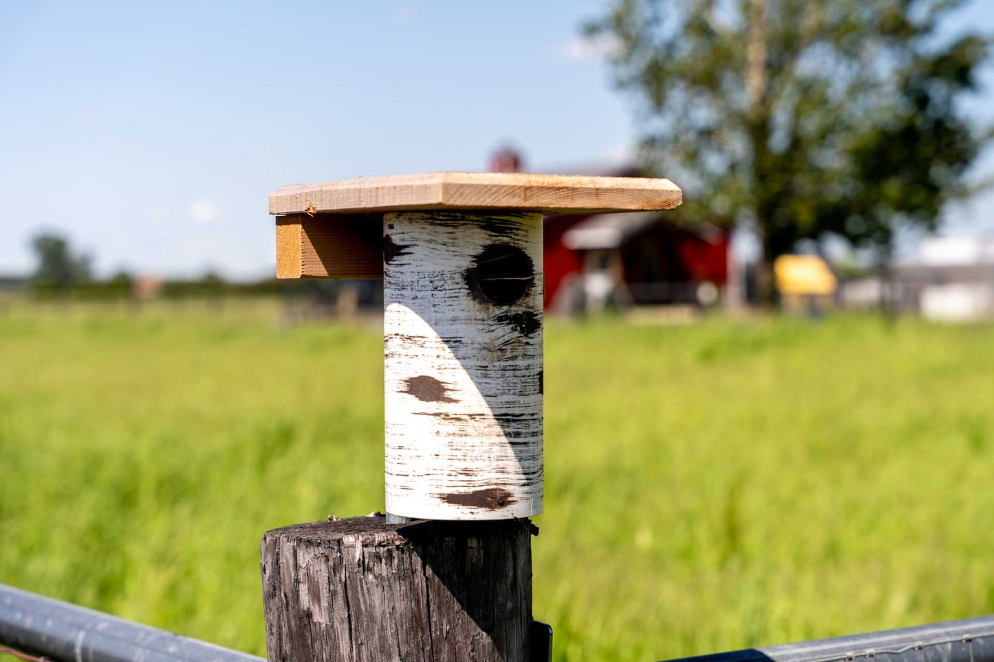 Hand-Tooled Gilbertson Bird Nest House